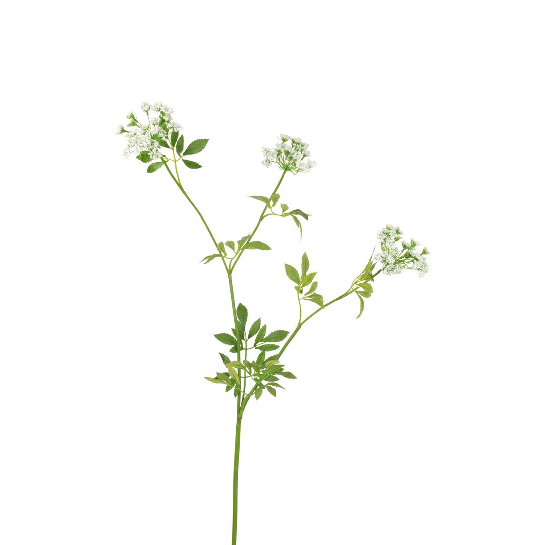 Cream Queen Anne Lace faux flower stem by Floralsilk, arranged with delicate lace blossoms for elegant floral decor.