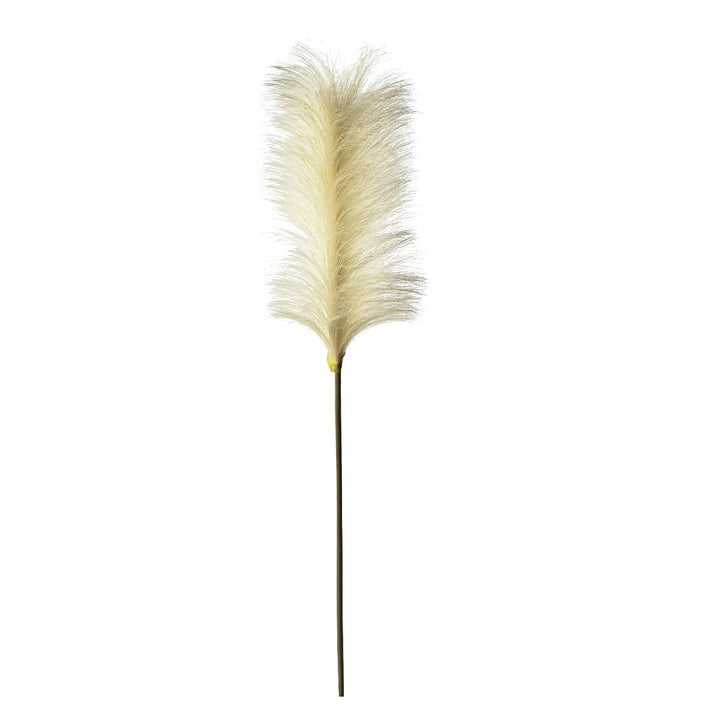 Set of five ivory soft feather stems from Cornucopia Home and Gift&