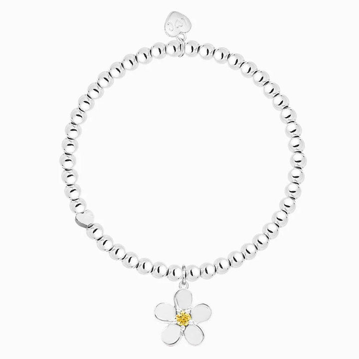 Thanks A Lot Silver-Plated Flower Charm Bracelet