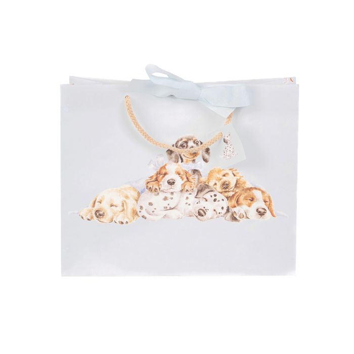 Little Paws Gift Bag