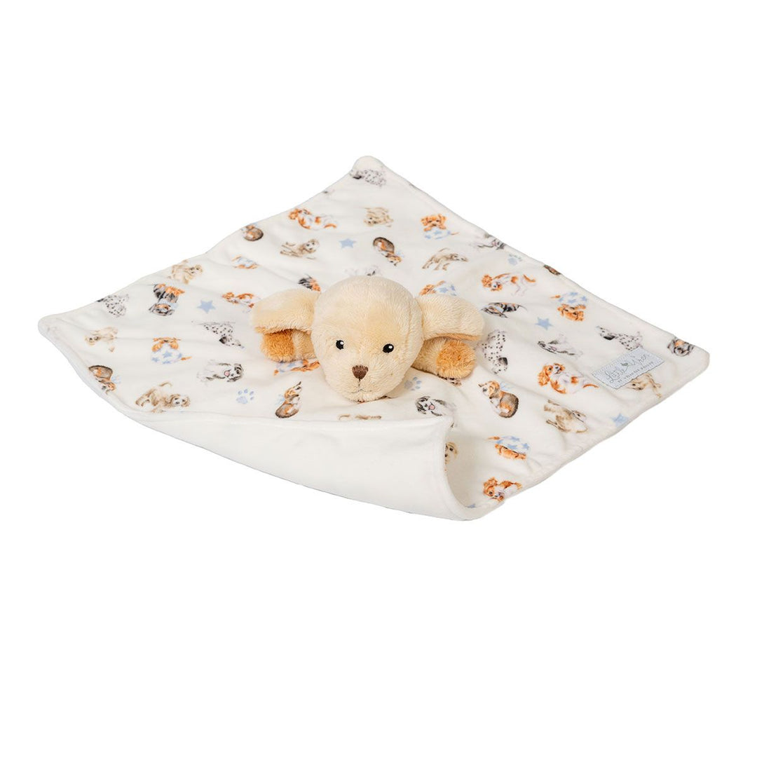 Little Wren Plush Comforter Little Paws