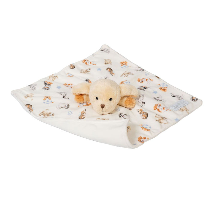 Little Wren Plush Comforter Little Paws