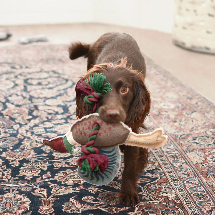 Pheasant Dog Toy with Squeaker &amp; Rope Legs