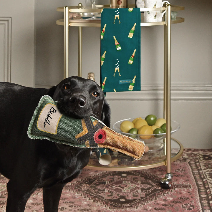 Bubbles and Fizz Squeaky Dog Toy