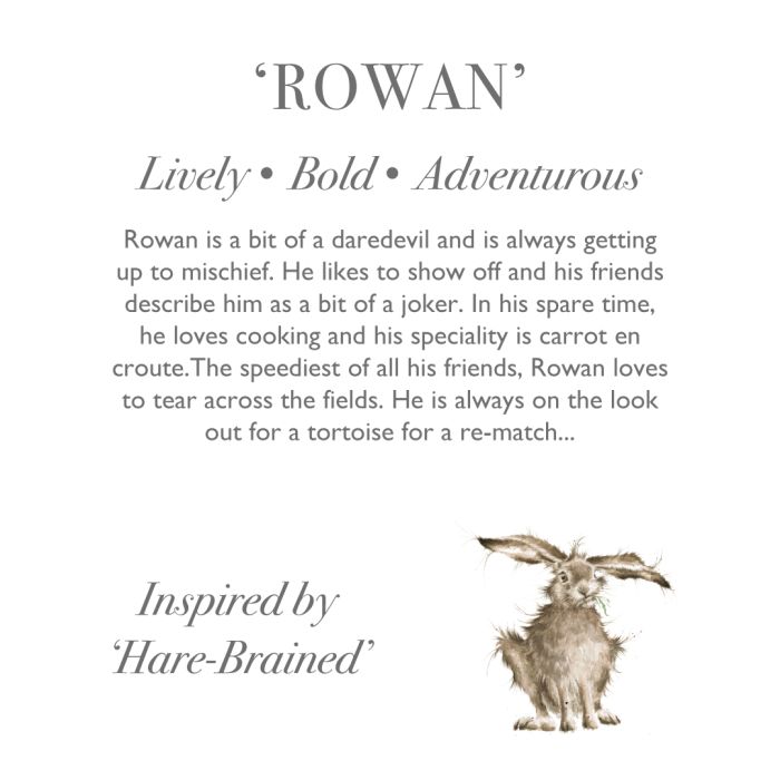 Rowan Medium Plush Hare