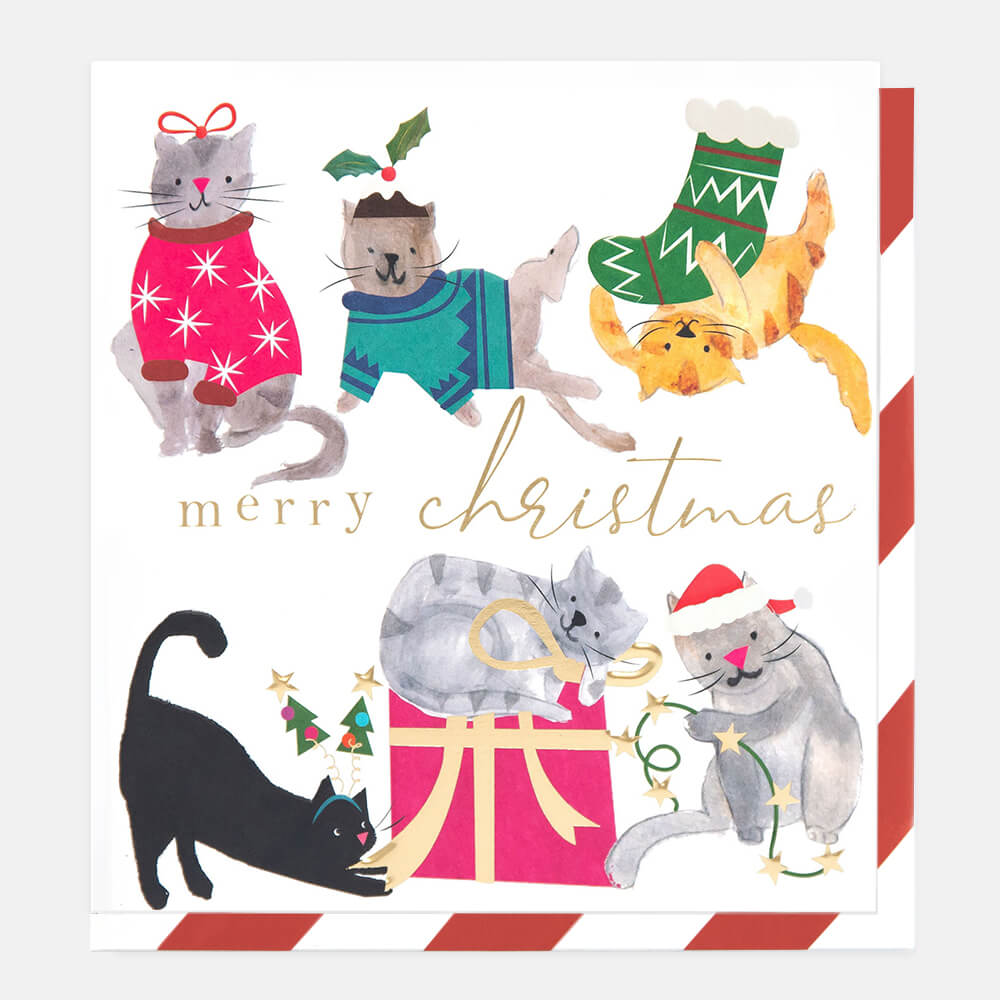 Painted Cats Merry Christmas Card