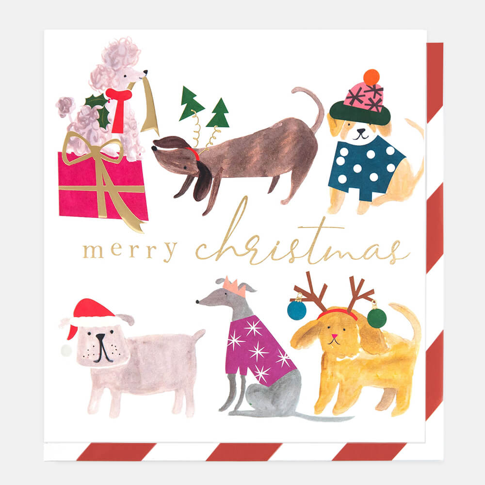 Painted Dogs Merry Christmas Card
