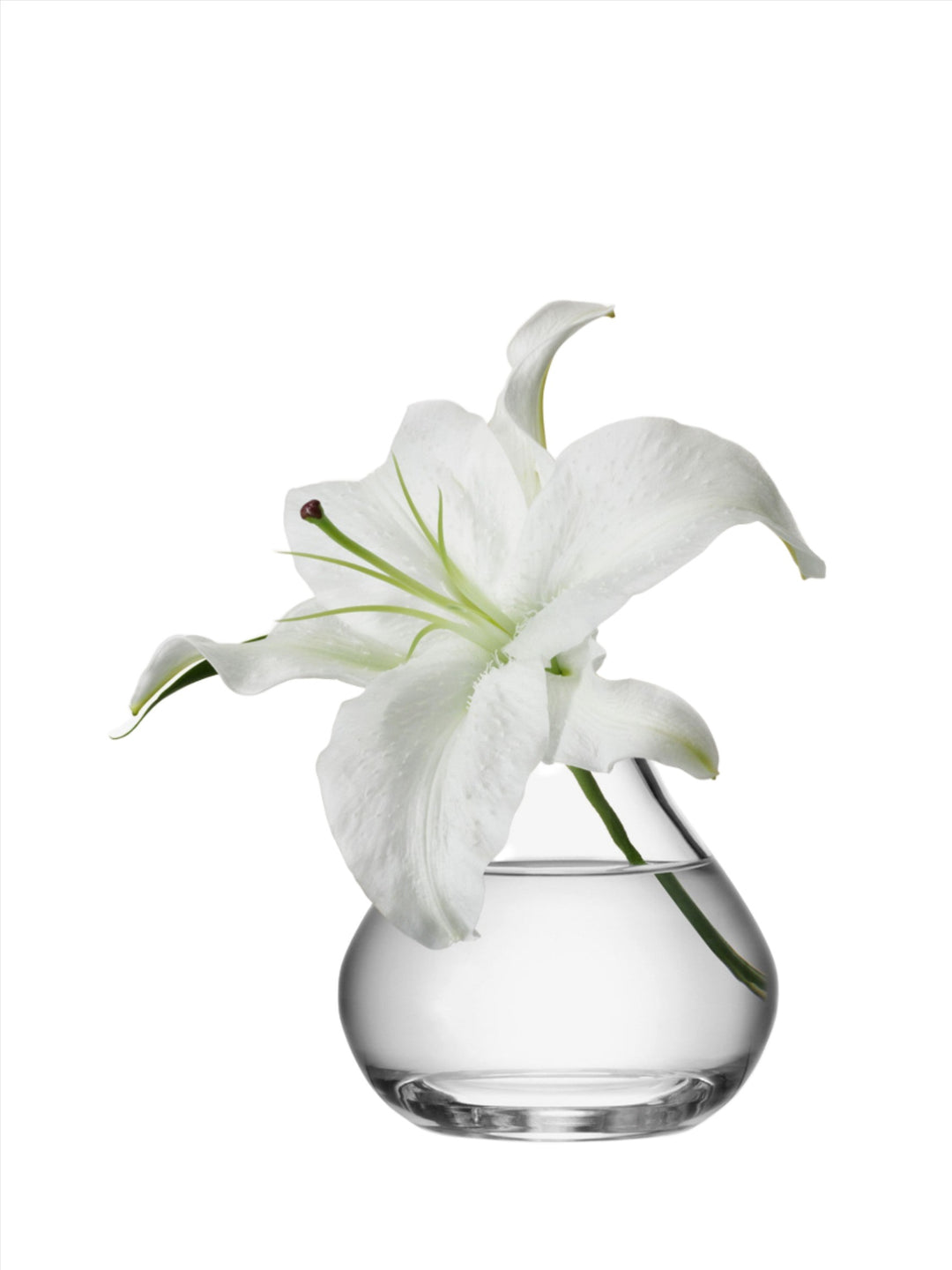 LSA International Flower Sprig Vase, 11 cm tall with a clear glass design, perfect for small floral arrangements.