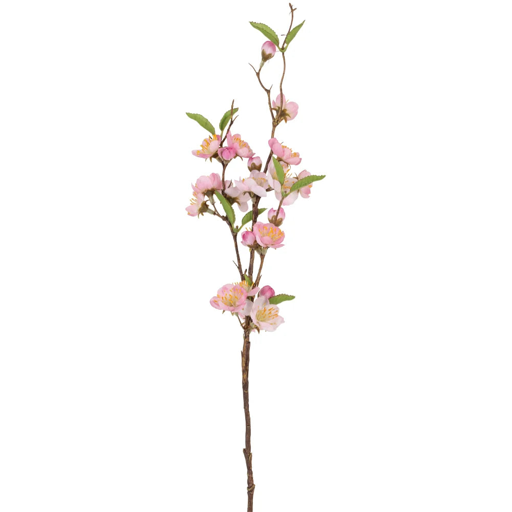 Pink Cherry Blossom Grand Illusions floral arrangement by Cornucopia Worcester, featuring vibrant pink cherry blossom blooms.