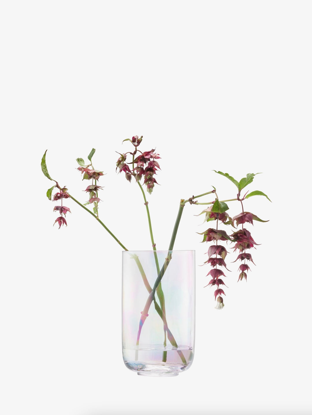 LSA International Pearl Lantern Vase, 18.5cm, with a transparent glass design featuring a pearl-like textured surface.